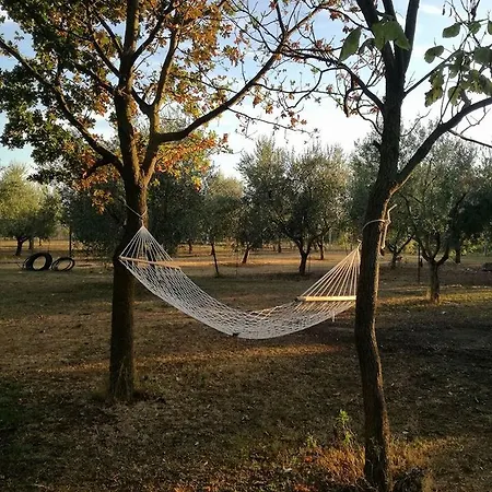Axia Terme B&b, 4 Min Dal Centro Storico - Park Privato Bed & Breakfast *